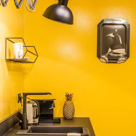 Apartment Designer Boutique Trauttmansdorffgasse *